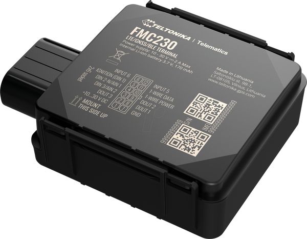 Teltonika FMC234